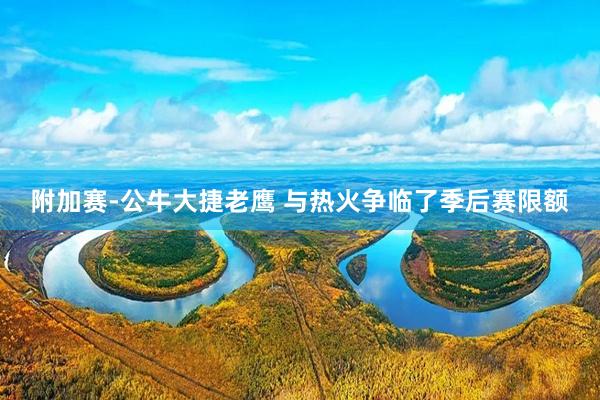 附加赛-公牛大捷老鹰 与热火争临了季后赛限额