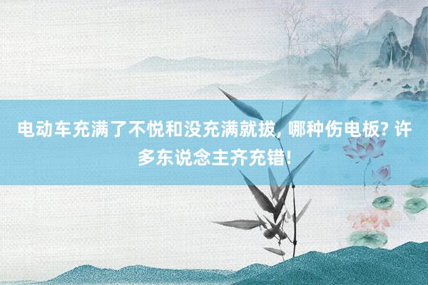 电动车充满了不悦和没充满就拔, 哪种伤电板? 许多东说念主齐充错!