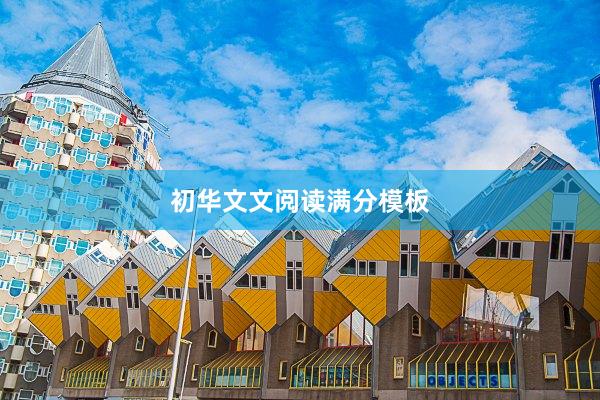 初华文文阅读满分模板