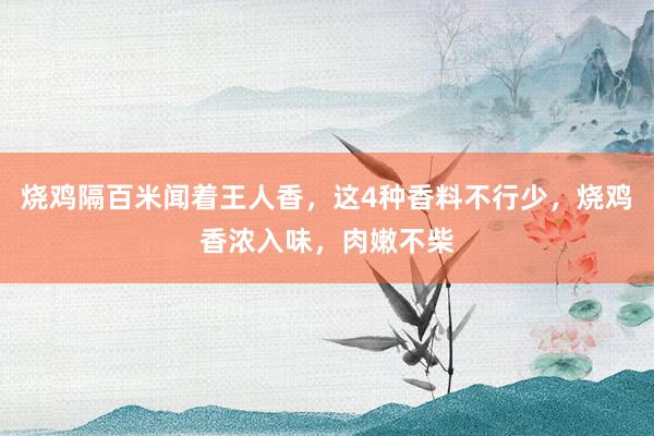 烧鸡隔百米闻着王人香，这4种香料不行少，烧鸡香浓入味，肉嫩不柴
