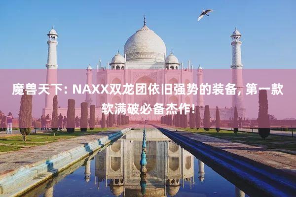 魔兽天下: NAXX双龙团依旧强势的装备, 第一款软满破必备杰作!